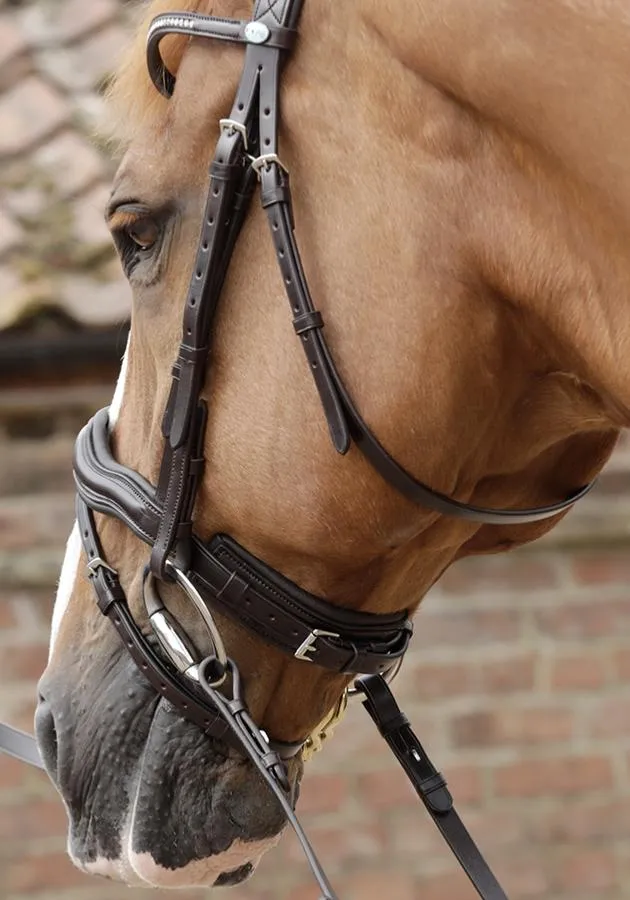 *20% Off* PEI Stellazio Anatomic Bridle (Full Size)