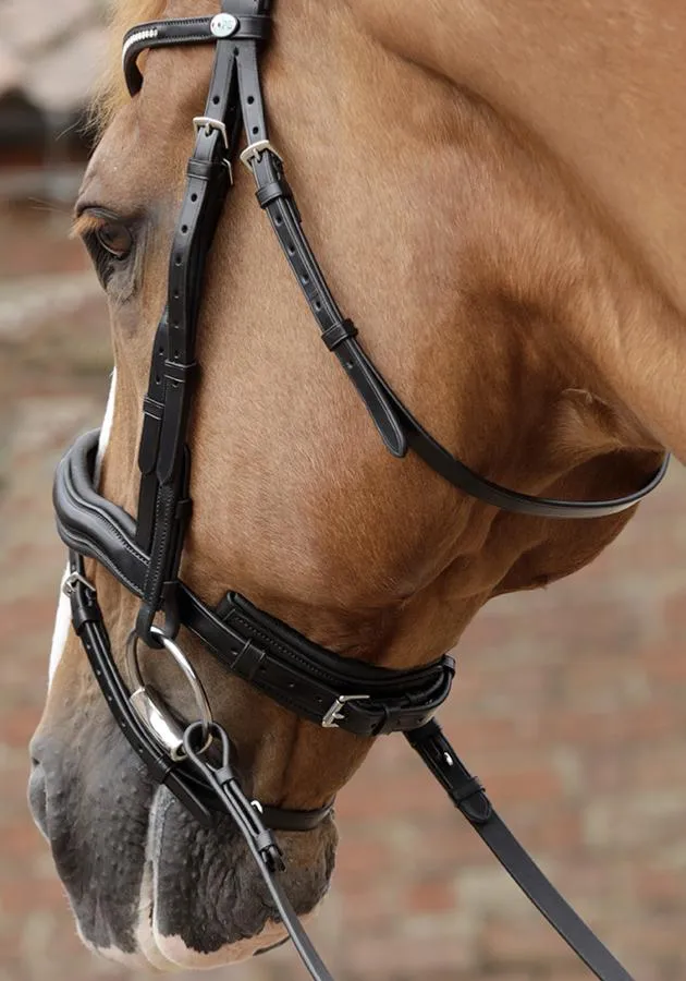 *20% Off* PEI Stellazio Anatomic Bridle (Full Size)