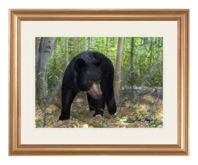 Black Bear Original Painting